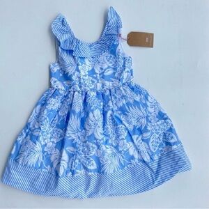 Savannah Blue and White Dress